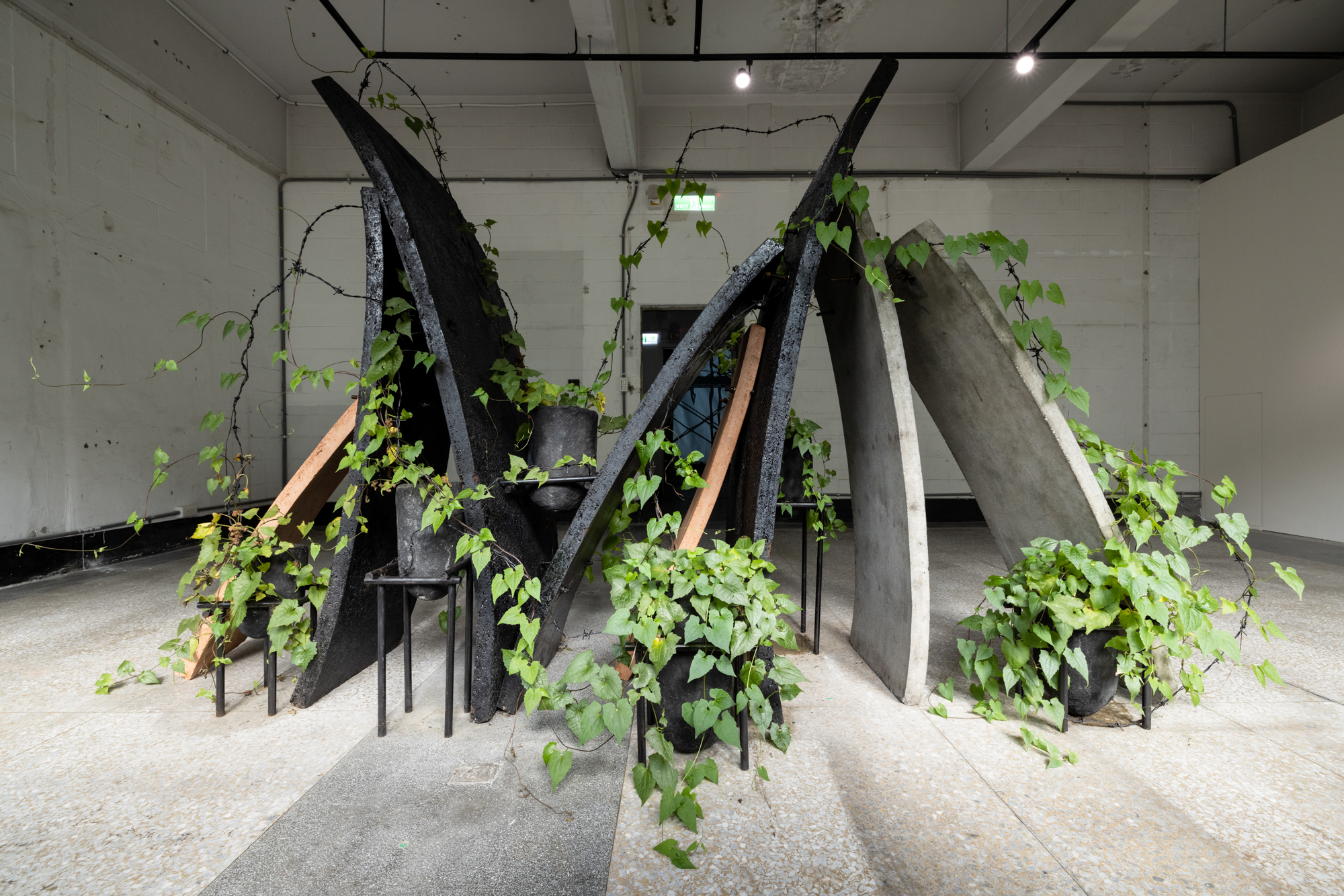 The Folly: CHIU Chen-Hung & TSONG Pu